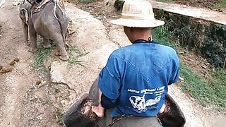 Elephant riding in Thailand with horny teen couple