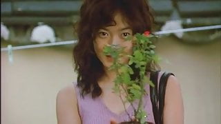 BlossomPlum